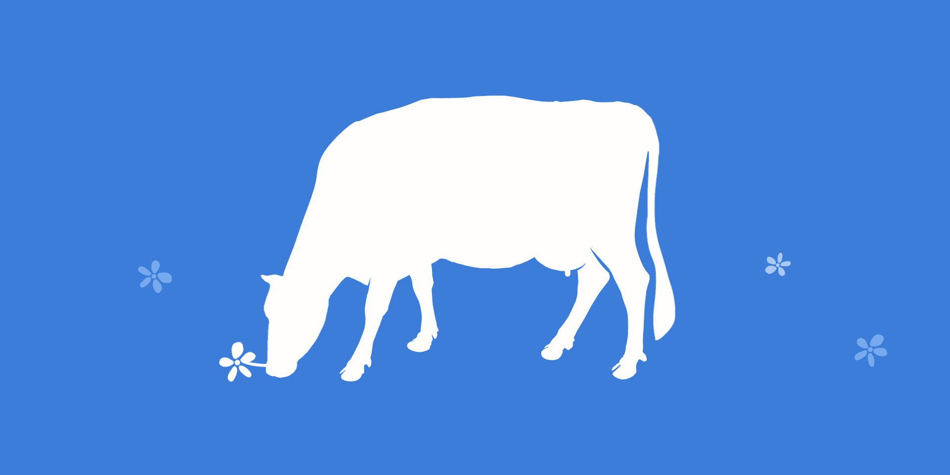Cow on a blue background eating flowers.